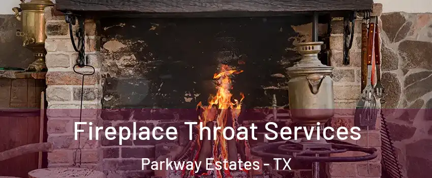 Fireplace Throat Services Parkway Estates - TX