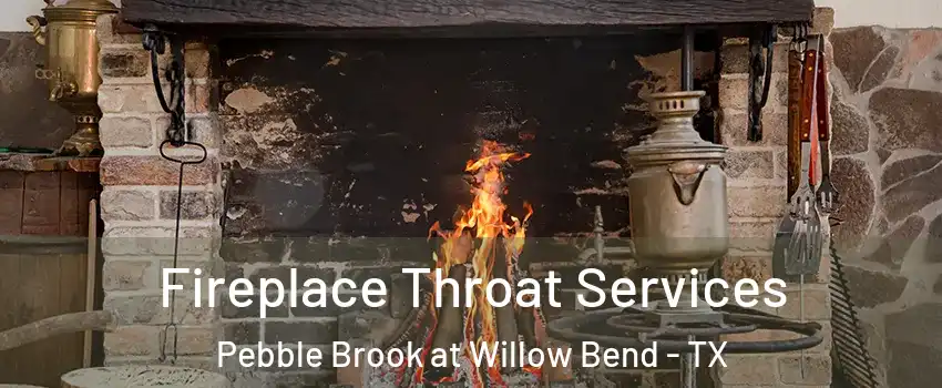 Fireplace Throat Services Pebble Brook at Willow Bend - TX