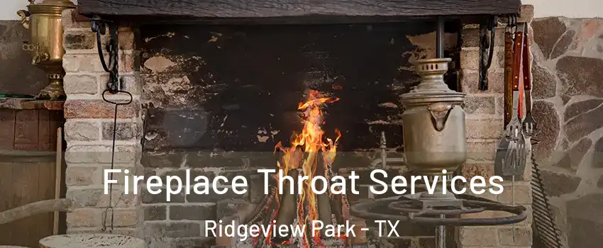 Fireplace Throat Services Ridgeview Park - TX