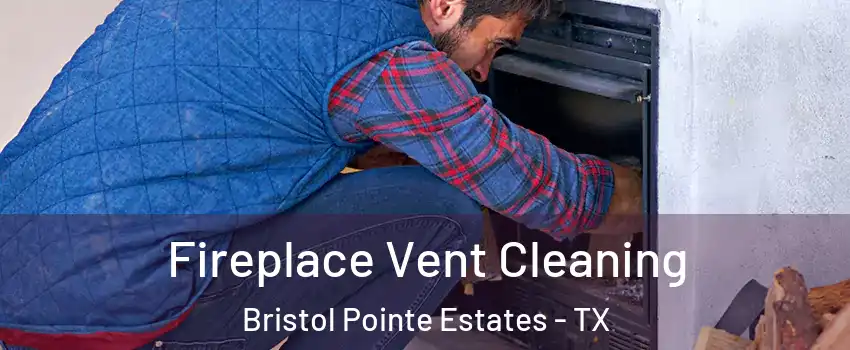 Fireplace Vent Cleaning Bristol Pointe Estates - TX