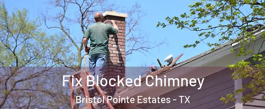 Fix Blocked Chimney Bristol Pointe Estates - TX