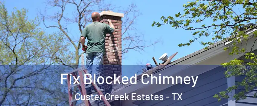 Fix Blocked Chimney Custer Creek Estates - TX