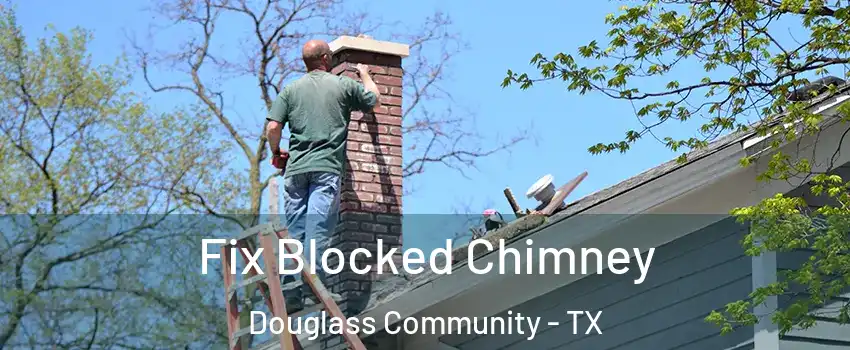 Fix Blocked Chimney Douglass Community - TX