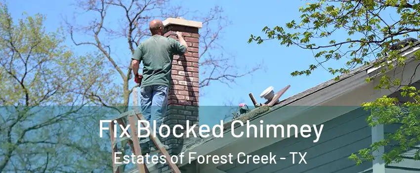 Fix Blocked Chimney Estates of Forest Creek - TX