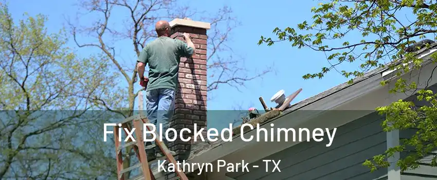 Fix Blocked Chimney Kathryn Park - TX