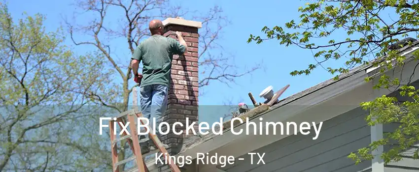 Fix Blocked Chimney Kings Ridge - TX