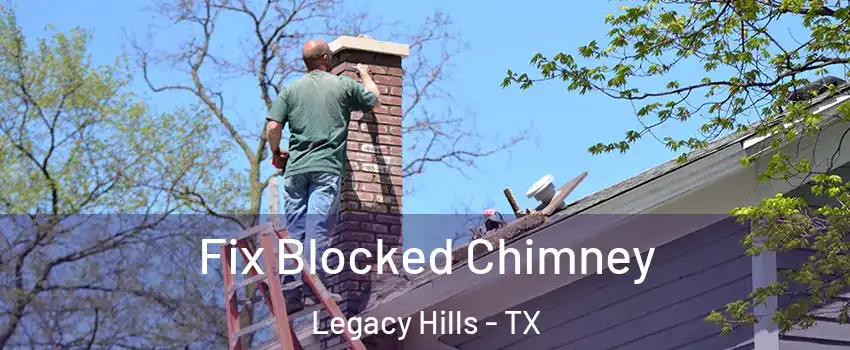 Fix Blocked Chimney Legacy Hills - TX