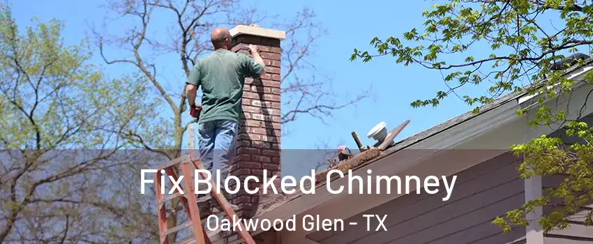 Fix Blocked Chimney Oakwood Glen - TX