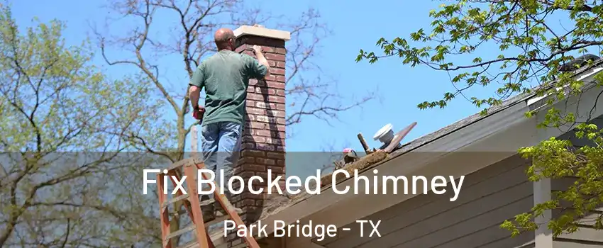 Fix Blocked Chimney Park Bridge - TX