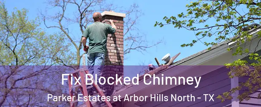 Fix Blocked Chimney Parker Estates at Arbor Hills North - TX