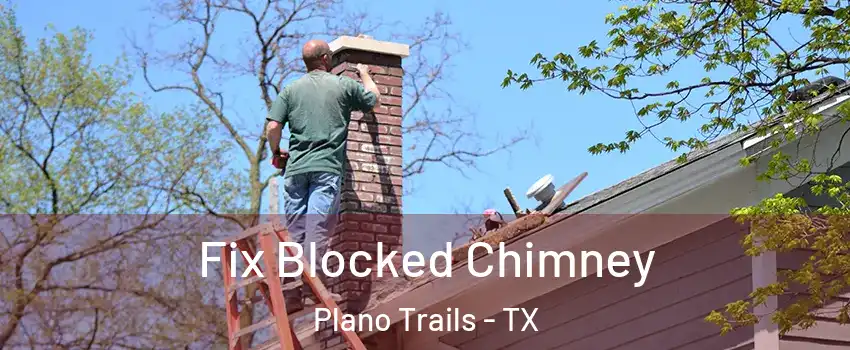 Fix Blocked Chimney Plano Trails - TX