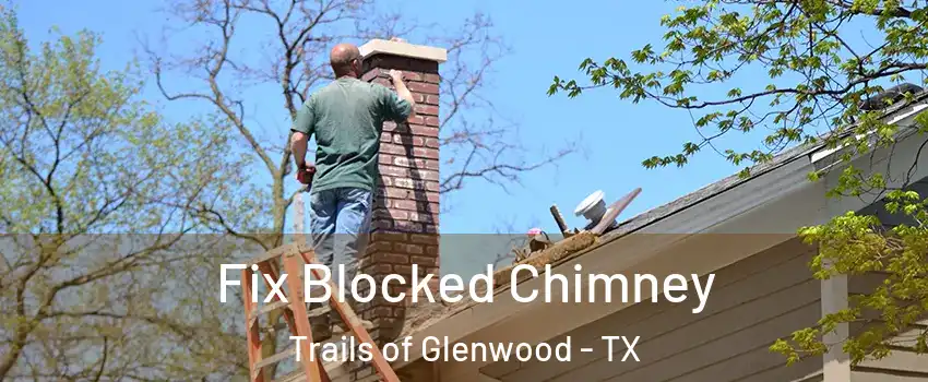 Fix Blocked Chimney Trails of Glenwood - TX