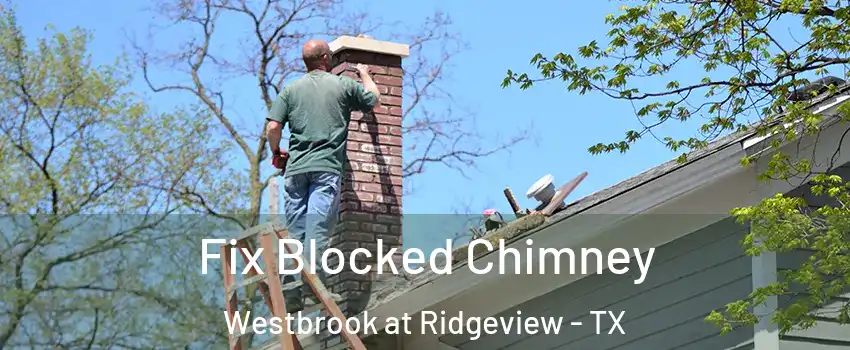 Fix Blocked Chimney Westbrook at Ridgeview - TX