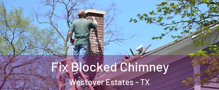 Fix Blocked Chimney Westover Estates - TX