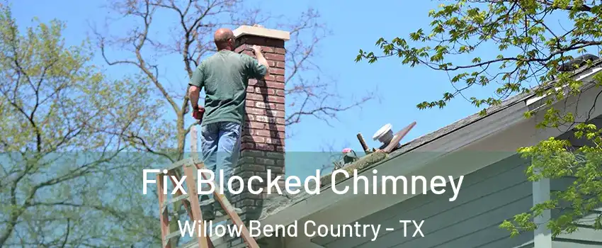 Fix Blocked Chimney Willow Bend Country - TX