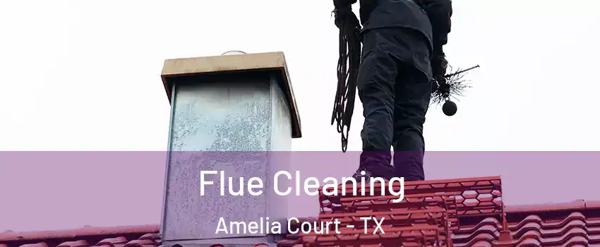 Flue Cleaning Amelia Court - TX