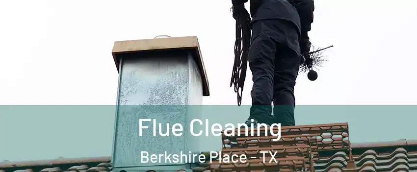 Flue Cleaning Berkshire Place - TX