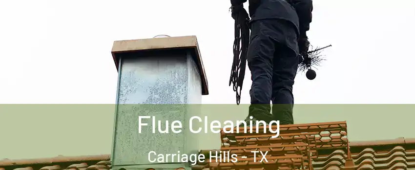 Flue Cleaning Carriage Hills - TX