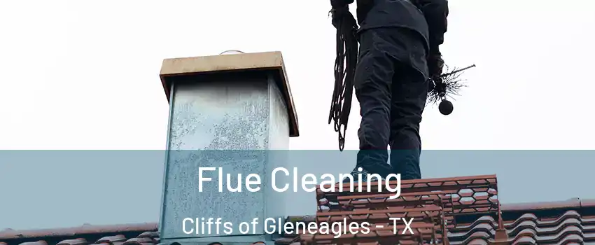 Flue Cleaning Cliffs of Gleneagles - TX