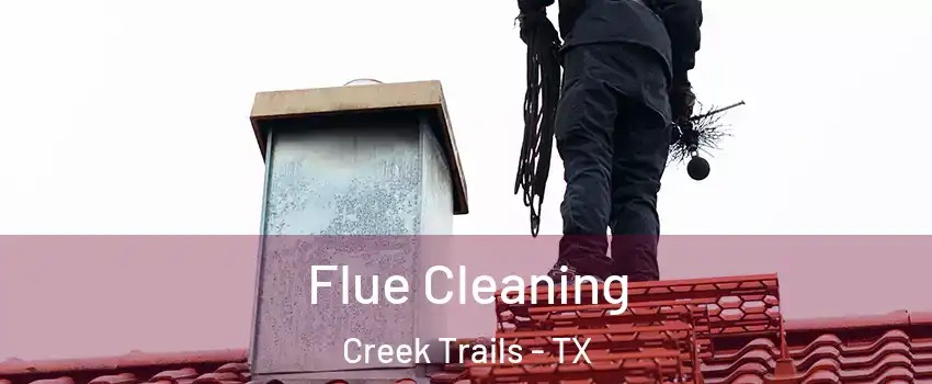 Flue Cleaning Creek Trails - TX