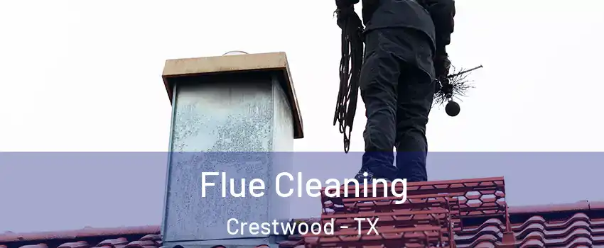 Flue Cleaning Crestwood - TX