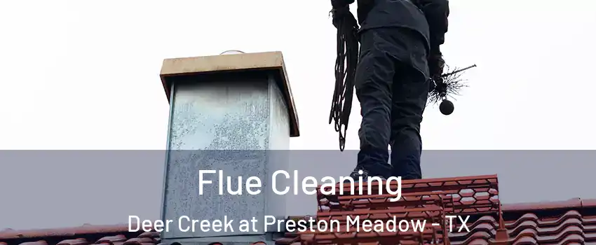 Flue Cleaning Deer Creek at Preston Meadow - TX