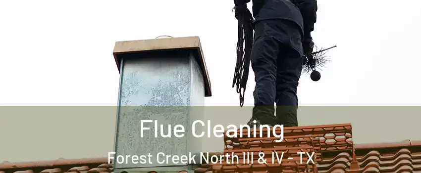 Flue Cleaning Forest Creek North III & IV - TX