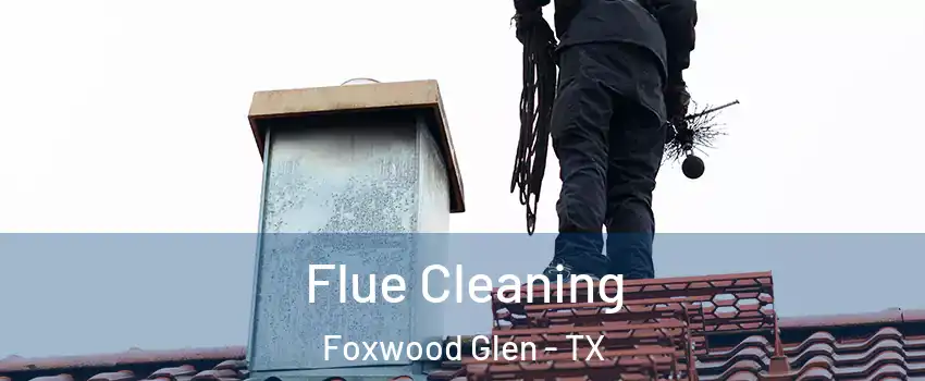 Flue Cleaning Foxwood Glen - TX