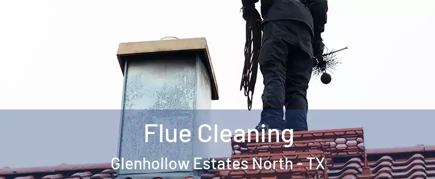 Flue Cleaning Glenhollow Estates North - TX