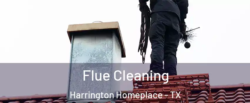 Flue Cleaning Harrington Homeplace - TX