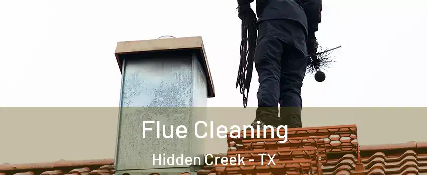 Flue Cleaning Hidden Creek - TX