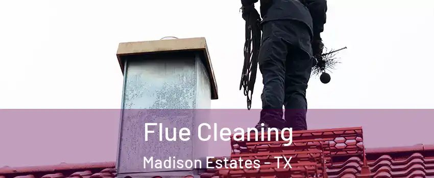 Flue Cleaning Madison Estates - TX