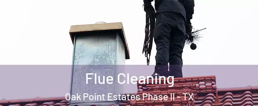 Flue Cleaning Oak Point Estates Phase II - TX