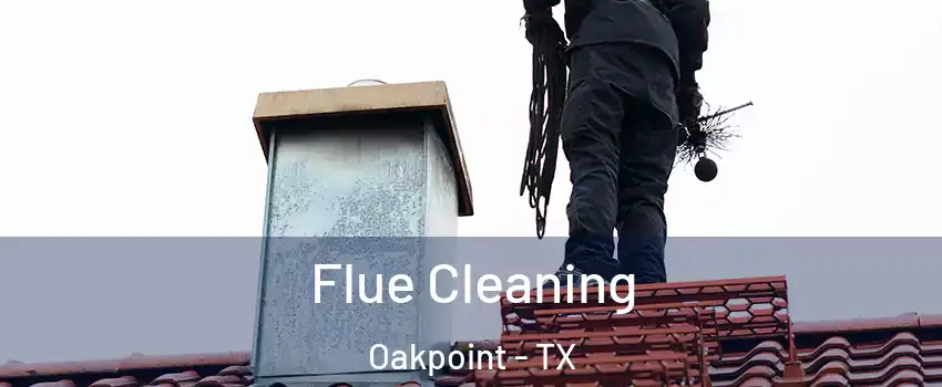 Flue Cleaning Oakpoint - TX