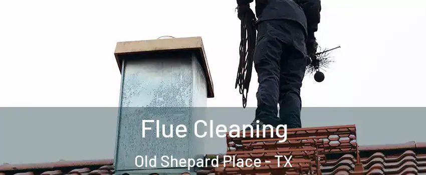 Flue Cleaning Old Shepard Place - TX