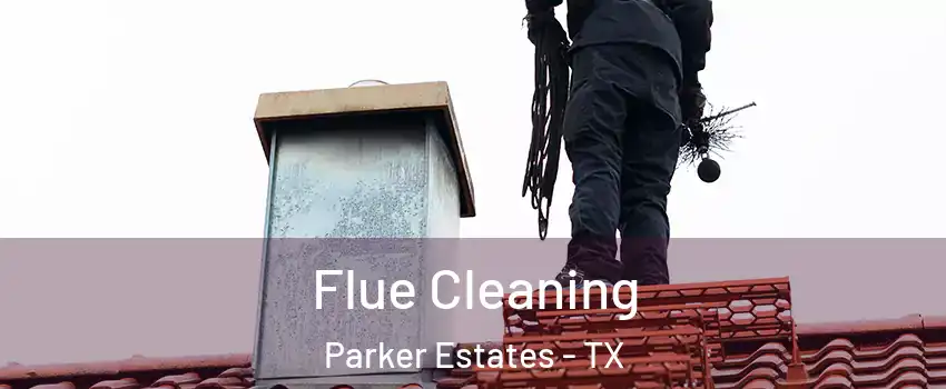 Flue Cleaning Parker Estates - TX