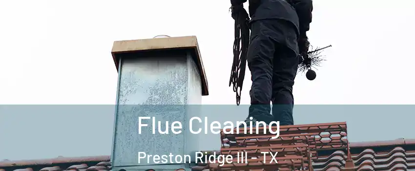 Flue Cleaning Preston Ridge III - TX