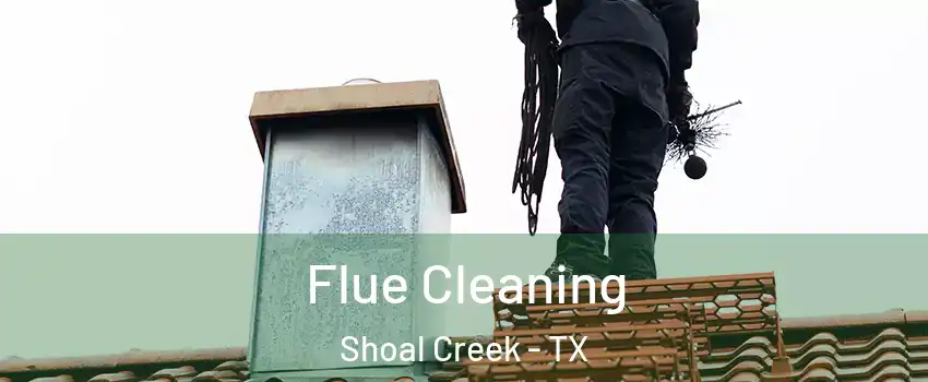 Flue Cleaning Shoal Creek - TX