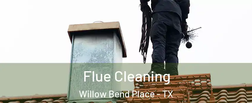 Flue Cleaning Willow Bend Place - TX