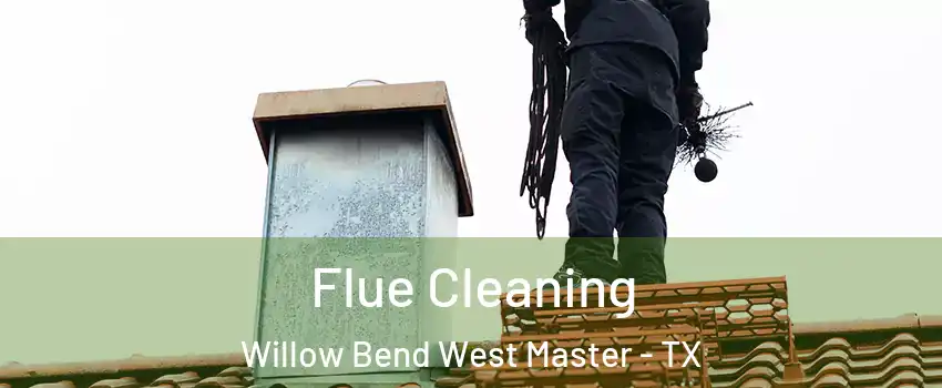 Flue Cleaning Willow Bend West Master - TX