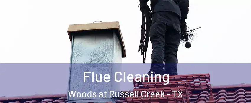 Flue Cleaning Woods at Russell Creek - TX