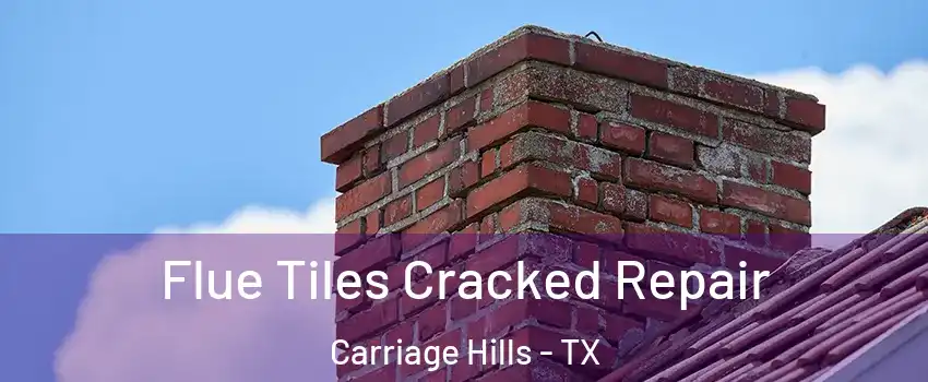 Flue Tiles Cracked Repair Carriage Hills - TX