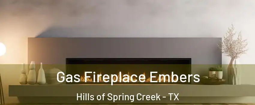 Gas Fireplace Embers Hills of Spring Creek - TX