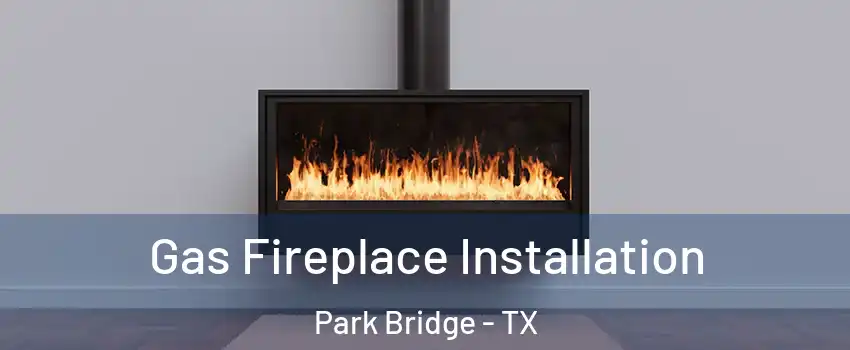 Gas Fireplace Installation Park Bridge - TX