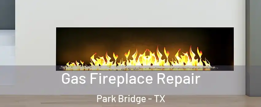 Gas Fireplace Repair Park Bridge - TX