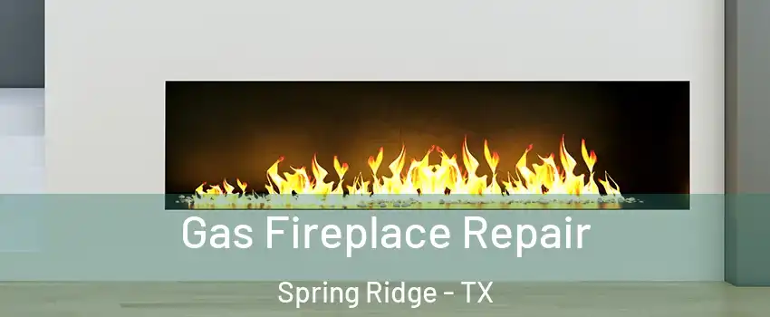 Gas Fireplace Repair Spring Ridge - TX