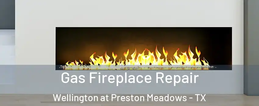 Gas Fireplace Repair Wellington at Preston Meadows - TX