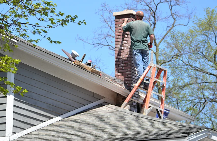 Chimney & Fireplace Inspections Services in Plano, TX