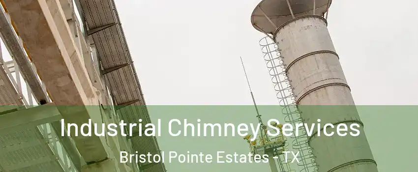 Industrial Chimney Services Bristol Pointe Estates - TX