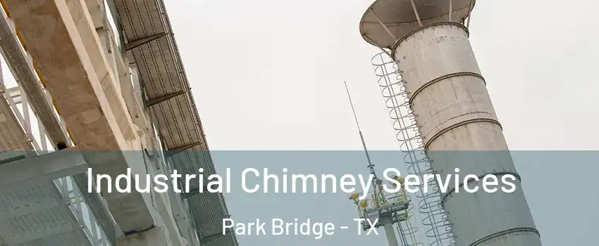 Industrial Chimney Services Park Bridge - TX